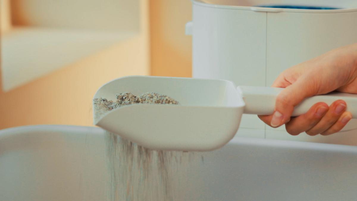 Litter Zero: The Modern Cat Litter Solution