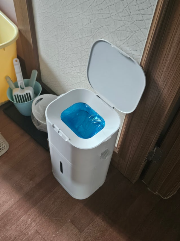 A Cleaner Home Starts with Smarter Cat Care